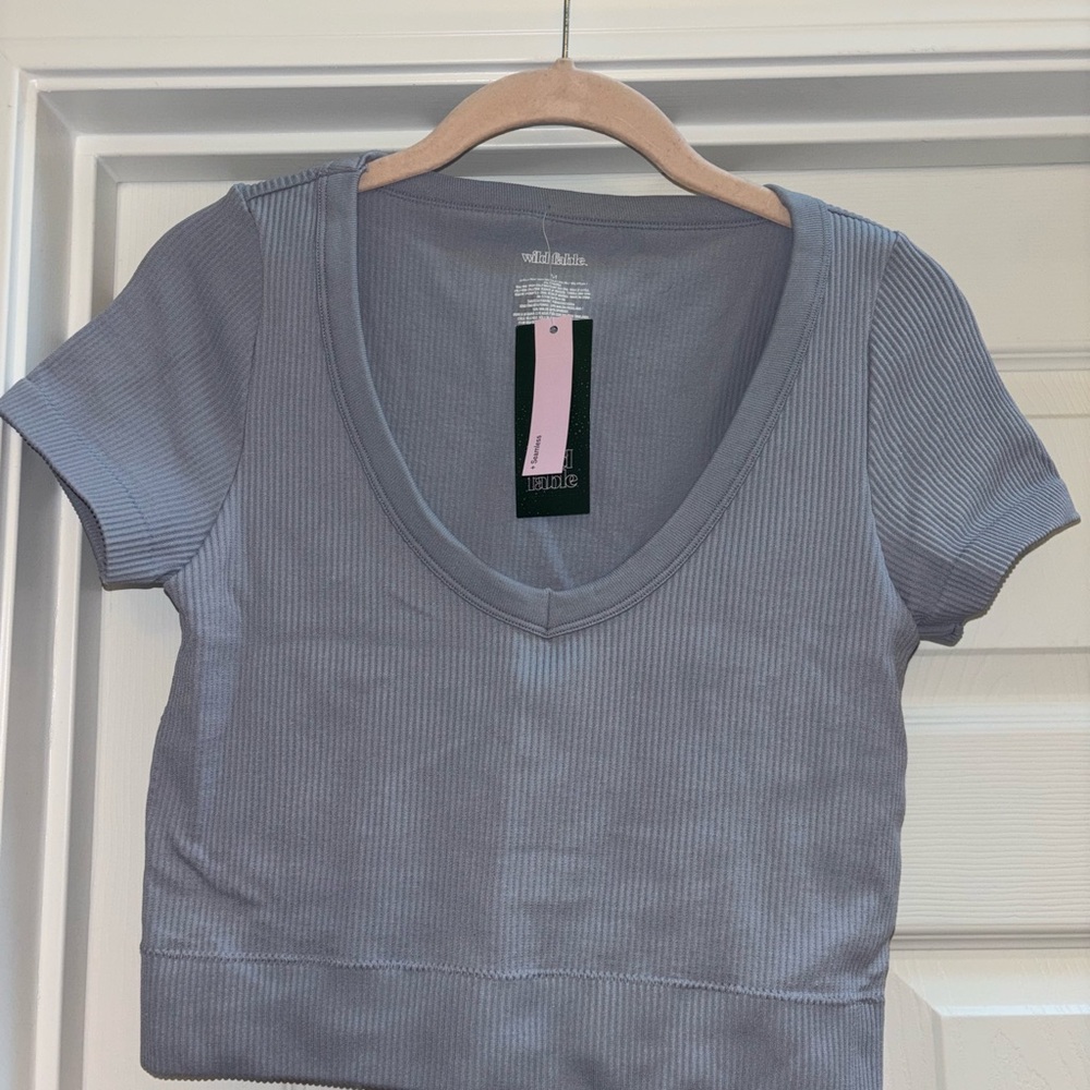 Wild Fable Light Gray Ribbed V-Neck Tee
